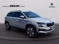 Daumennagel 3 - Skoda Karoq 2.0 TDI DSG 4x4 Drive, ACC, AHK, ACC, Navi, Kamera, El.Heckklappe, ....