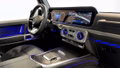 Thumbnail 20 - Mercedes-Benz G 63 Night-Paket*22ZOLL