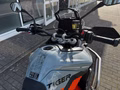 Daumennagel 12 - Triumph Tiger 900 Desert Edition MY26 Akrapovic