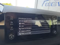 Daumennagel 38 - Skoda Fabia 1,0TSI DSG 5*J.Gar/LED/Winterp/Temp.   **