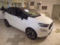 Daumennagel 2 - Ford EcoSport ST-Line