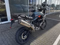 Daumennagel 4 - Triumph Tiger 900 Desert Edition MY26 Akrapovic