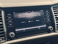 Daumennagel 33 - Skoda Kodiaq Style |Standheizung|LED|Kamera|SHZ|CarPlay|