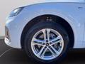 Daumennagel 11 - Audi Q5 quattro TDI S line LED+Navi+ACC+Leder