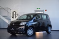 Daumennagel 1 - Fiat Panda Base  NEUFAHRZEUG