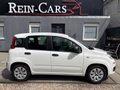 Thumbnail 2 - Fiat Panda 1.2 Pop/34TKM/I.HAND/ALLWETTER/TÜV-NEU/