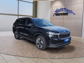 Skoda Kodiaq age.one-day registration Kaufen