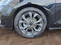 Daumennagel 17 - Ford Focus ST-Line X 1.0 155PS Aut. UPE=41700€ **