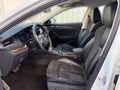 Daumennagel 7 - Skoda Octavia Combi Scout 4x4 2.0 TDI DSG AHK ACC Columbus Ergo-Sitze