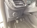 Daumennagel 16 - Ford Fiesta 1.0 EcoBoost S&S TITANIUM Winter-Paket