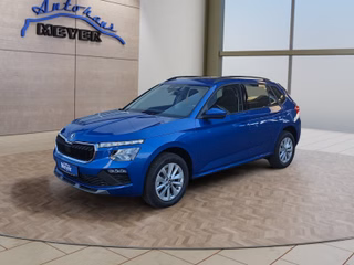 Skoda Kamiq age.one-day registration Kaufen