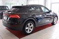 Daumennagel 8 - Audi Q8 55 TFSI quattro S-Line