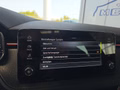 Daumennagel 45 - Skoda Kamiq Monte Carlo 1,5TSI DSG 5*J.Gar/Kessy/Matrix/Winterp/Kamera
