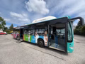 Daumennagel 4 - Mercedes-Benz Citaro Linienbus Standhzg. Klima Automatik