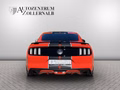 Daumennagel 5 - Ford Mustang GT 5.0 V8 *RECARO*SPORT-ABGAS*H&R*MAXTON