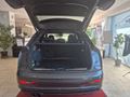Daumennagel 33 - Audi Q3 2.0 TFSI quattro S-LINE