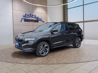 Skoda Karoq age.one-day registration Kaufen