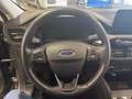 Daumennagel 10 - Ford Kuga Plug-In Hybrid Titanium Winterpaket/Ganzjahresreifen/NAVI/u.v.m.