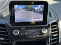 Daumennagel 9 - Ford Grand Tourneo Connect Titanium Rollstuhlrampe