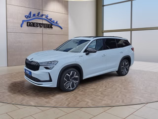 Skoda Kodiaq age.one-day registration Kaufen
