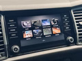 Daumennagel 34 - Skoda Kodiaq Style |Standheizung|LED|Kamera|SHZ|CarPlay|