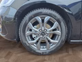 Daumennagel 17 - Ford Focus ST-Line X 1.0 155PS Aut. UPE=41700€