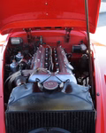 Daumennagel 43 - 1955 Jaguar XK 140 OTS SE
