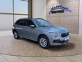 Daumennagel 7 - Skoda Kamiq Selection 1,0TSI DSG Kessy/Kamera/Temp/2-Z.Klimaaut.