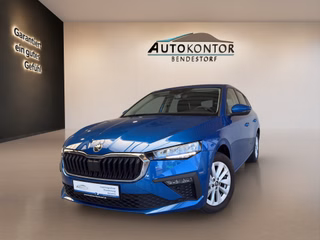 Skoda Scala Gebrauchtwagen Kaufen
