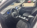 Daumennagel 12 - Ford Kuga Plug-In Hybrid Titanium - Fahrer Assist. Paket - Winter P. - Top