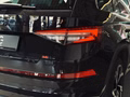 Daumennagel 10 - Skoda Kodiaq RS 4x4 |7-Sitzer|ACC|Pano|SHZ|Kamera|