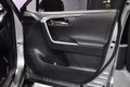 Daumennagel 22 - Toyota RAV 4 RAV4 Hybrid 4x4 Style Selection
