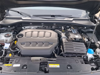 CUPRA Formentor 2.0 TSI 4Drive DSG / AHK / LEDER / PANORAMA - bilder 12