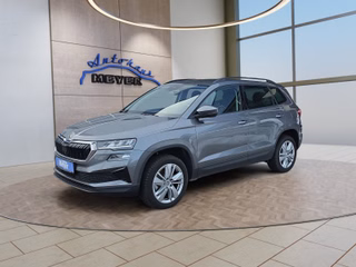 Skoda Karoq Gebrauchtwagen Kaufen