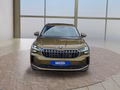 Daumennagel 8 - Skoda Kodiaq 2,0TSI DSG 4x4 aAHK/7-Sitzer/Matrix/Navi/el.Klappe