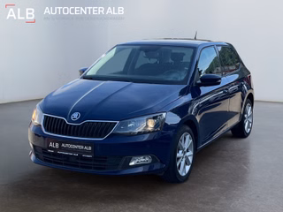Skoda Fabia Gebrauchtwagen Kaufen