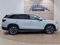 Daumennagel 7 - Skoda Kodiaq 2,0TDI DSG 4x4 aAHK/7-Sitzer/Matrix/Navi/el.Klappe   **