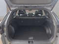 Daumennagel 17 - Hyundai TUCSON 1,6T HEV 4WD N Line X UPE=56000 Euro!        **