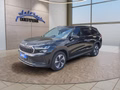 Daumennagel 3 - Skoda Kodiaq 1,5TSI DSG aAHK/7-Sitzer/Navi/ACC/el.Klappe