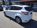 Daumennagel 6 - Ford Kuga ST-Line