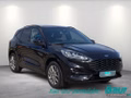 Daumennagel 2 - Ford Kuga 2.5 Duratec PHEV ST-LINE X