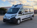 Daumennagel 1 - Chausson V594 First Line Mod.26 Connect/Zubehör