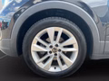 Daumennagel 11 - Volkswagen T-Cross Goal 1.0 TSI DSG AHK+LED+ACC+Navi