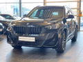 BMW X1 18i sDrive M Sport AHK/ACC/CocProf/HUD/360 - foto 1
