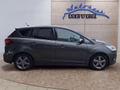 Daumennagel 6 - Ford C-Max 1.0 125PS Navi/Winterp/SR/WR/Parkas.
