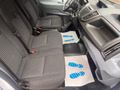 Daumennagel 14 - Ford Transit Kasten 350 L2H2 Trend