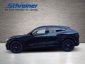 Daumennagel 2 - Ford Mustang Mach-E Basis AWD Panoramadach