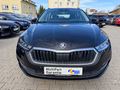 Daumennagel 2 - Skoda Octavia Combi 2.0 TDI "Ambition" 1.Hand/BI-Xenon/NAVI/AHK/Neue Reifen