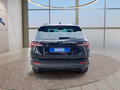 Daumennagel 5 - Skoda Karoq 1,5TSI DSG 18*Alu/aAHK/ACC/Kamera/Winterp.       **