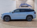 Daumennagel 2 - Skoda Kodiaq Sportline 2,0TDI 193PS aAHK/4*J.Gar/Matrix/Navi/ACC/el.Klappe  **
